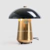 Đèn để bàn dạng nấm DC2066