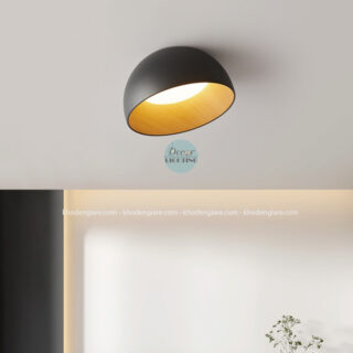 Đèn Trần Decor Vỏ Trứng TDC001